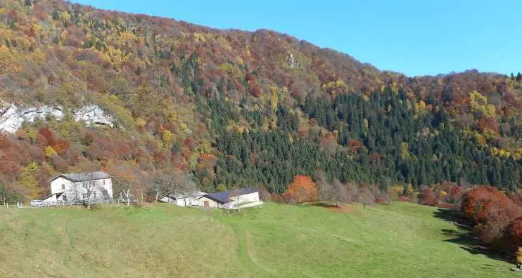 Malga Palaer, stanziati 20mila euro per la sistemazione della forestale