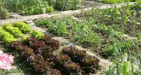 Denno, il Comune assegna terreni da coltivare a orto