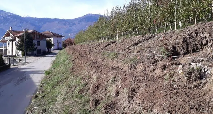A Ton ritornano le “siepi della salute”