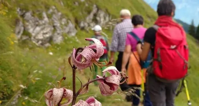 “Cammina Tesino” per un turismo “lento”