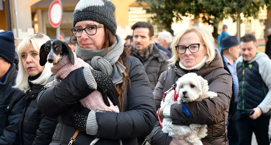 Benedizione degli animali con cani, cavalli e furetti