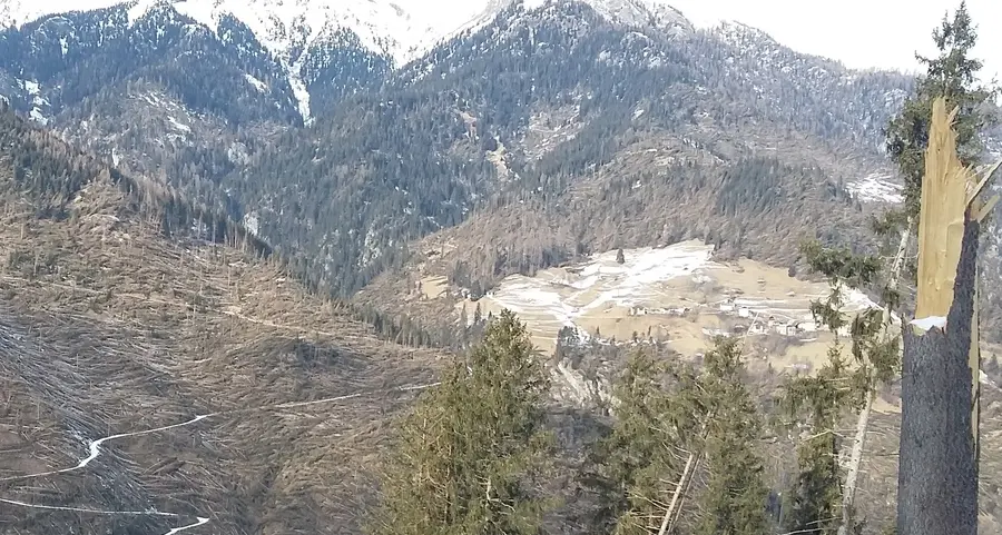 Sessioni forestali: domani si inizia con Ziano e Panchià