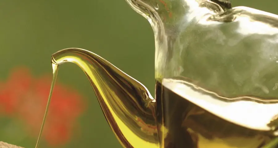 Tenno, al via da domani il concorso «Succo d’oliva»