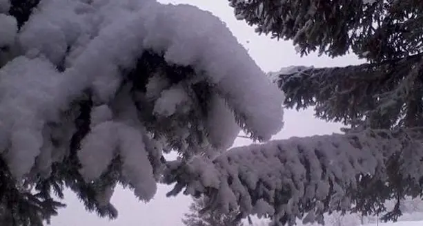 Arriva la maxi-nevicata: ecco quanta neve arriverà, la quota e l'intensità ora per ora
