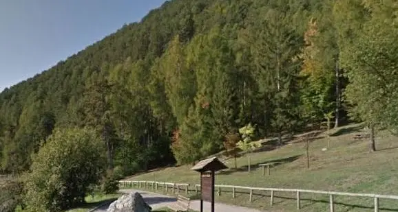 Meleto al posto del bosco, nuova delibera