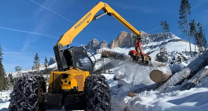 La neve frena il lavoro nei boschi martoriati del Latemar