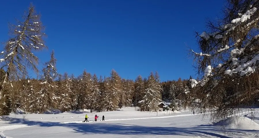 Finalmente si può sciare sulle piste alle Regole