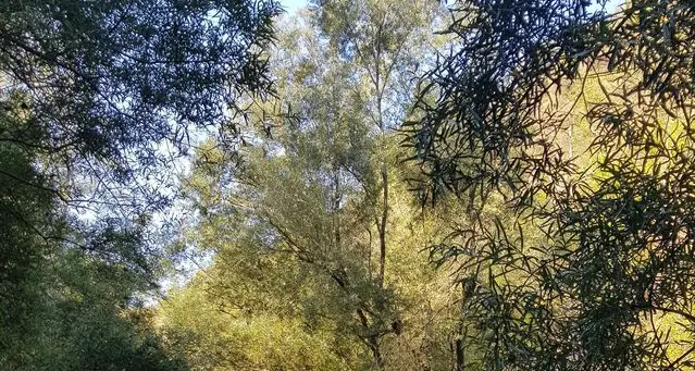 Sabato 16 a Taio un corso di abilitazione alla pesca