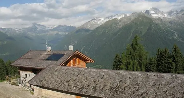 Le mucche tornano a Malga Cioca