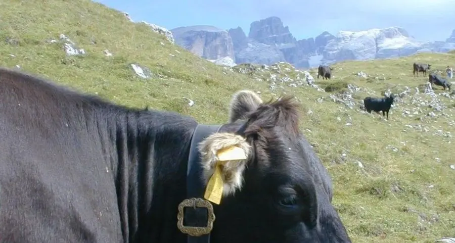 «Valorizza territorio e cultura»