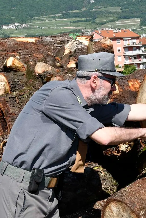 Gestione associata, sale a 4 il numero di custodi forestali