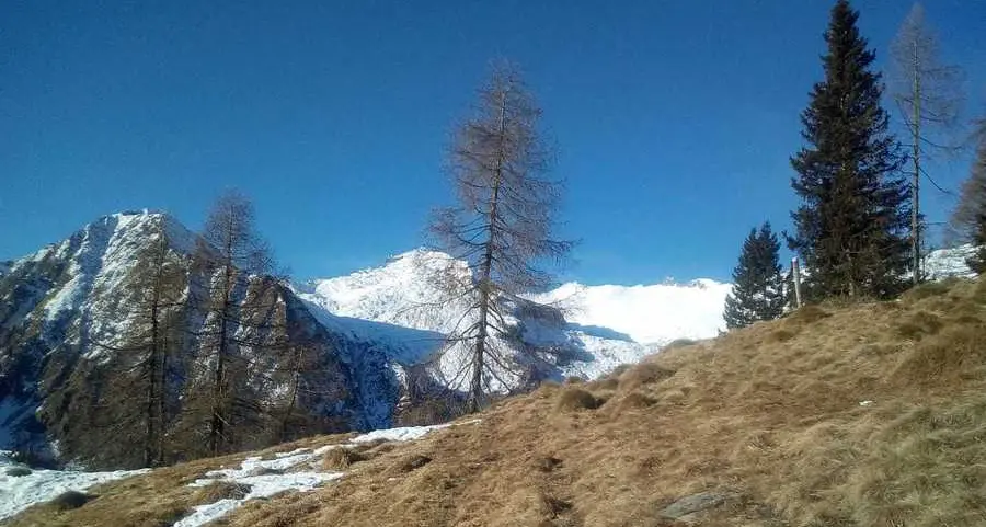 «La Val di Breguzzo diventi area protetta»