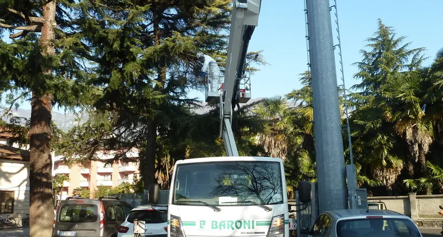 Processionaria, rimossi tre nidi nel parcheggio