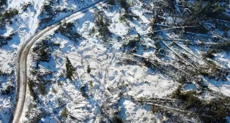Danni su 1.200 chilometri di strade forestali trentine