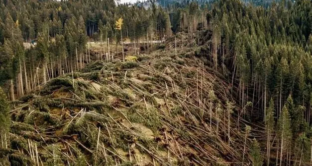 Maltempo, in arrivo 85 milioni per far fronte ai danni causati dalla tempesta di ottobre