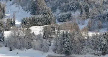 Pista da ski roll a Lago la variante passa con 7 voti