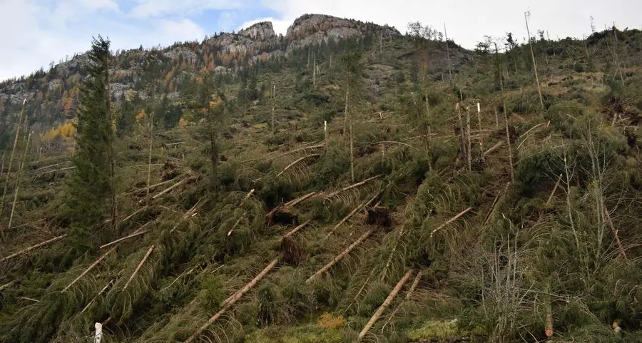 «Dopo la tempesta Vaia regna l’immobilismo»