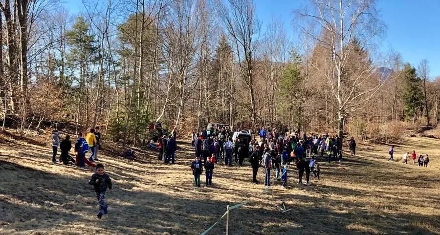 Cembra, due caprioli orfani sono stati restituiti al bosco