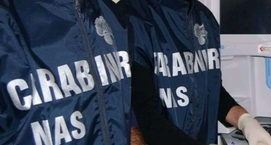 Pinzolo, il Nas sequestra pesce al bar Bocciodromo. A casa del titolare trovata della droga
