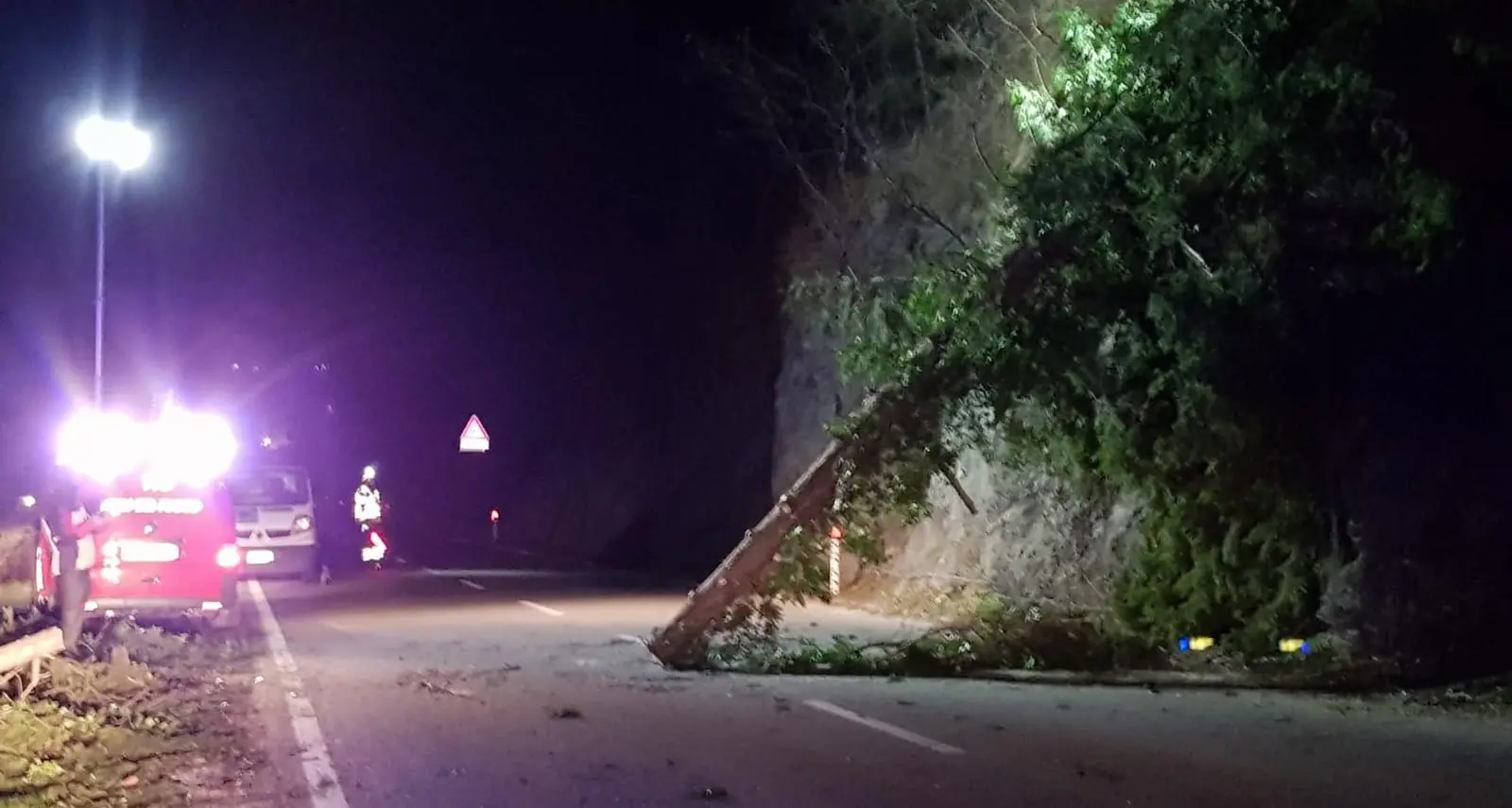 Vento a cento all'ora, in Trentino torna la paura