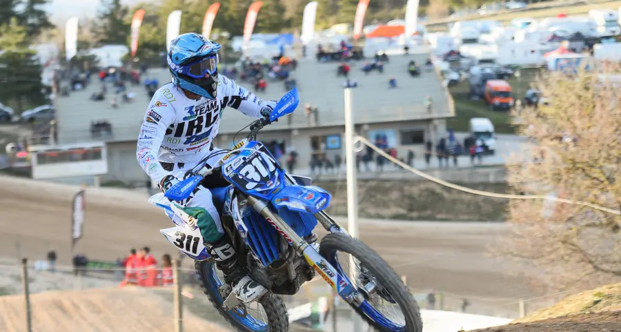 Ciclamino, rombo mondiale