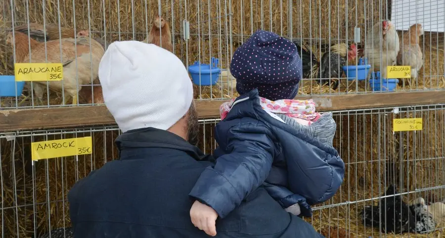 Gli allevatori in festa con l’ansia dei predatori