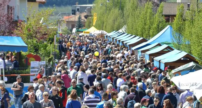 Lotteria di Fiorinda: ecco i numeri estratti e l’elenco dei premi