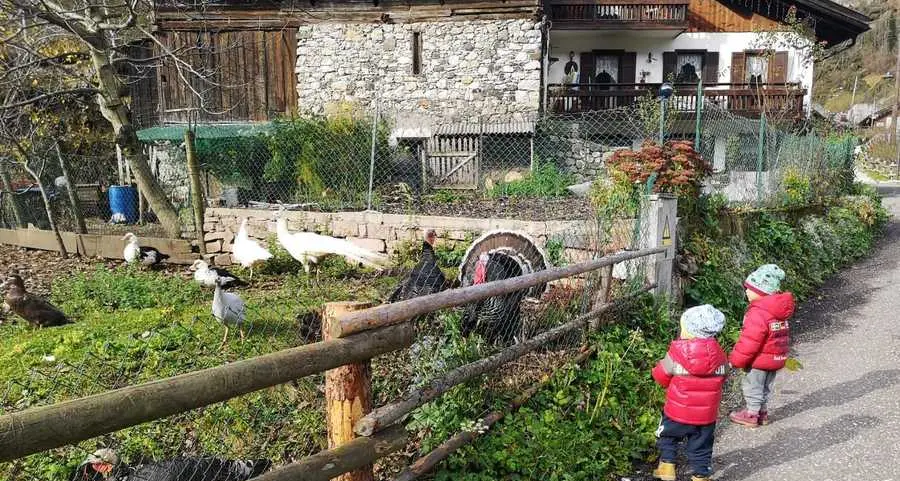 Riparte in giugno il servizio Tagesmutter a Forno
