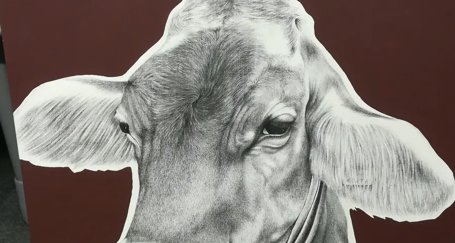 In mostra i disegni degli allievi di Toccoli