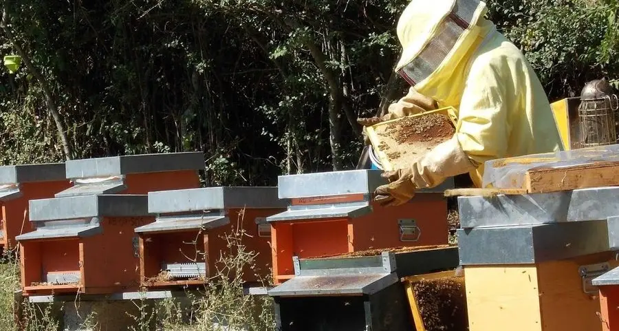 Civezzano sosterrà e promuoverà l’apicoltura bene comune
