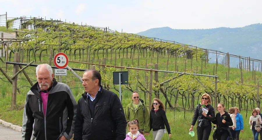 Nessun outsider per Terre d’Adige la sfida è tra due