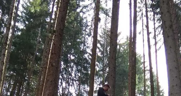 Il video su Vaia fa il boom in rete