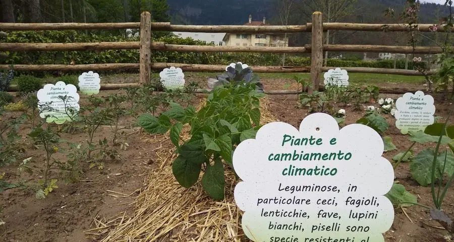 A Levico è iniziato un party che durerà fino a Natale