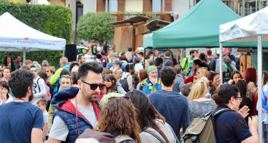 Assalto alle colline avisiane per il giro tra masi e cantine