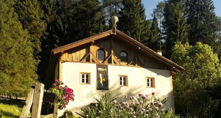 Un fine settimana in val di Sole tra api, fiori e corso di cucina