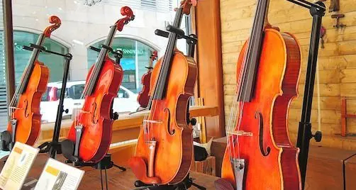 “Ziano Insieme” a Cremona, città dei pregiati violini