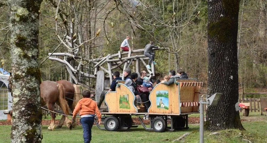 In Val Canali la primavera si è trasformata in una festa
