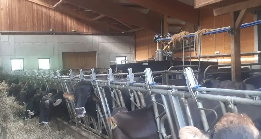 Festa a Caderzone Terme per la nuova stalla di Sartori