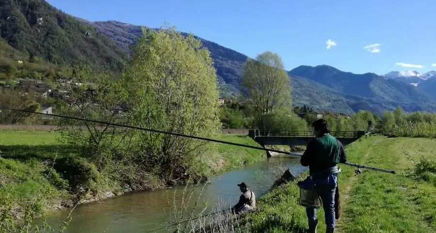 Pescatori in gara con ami e lenze in riva al Brenta
