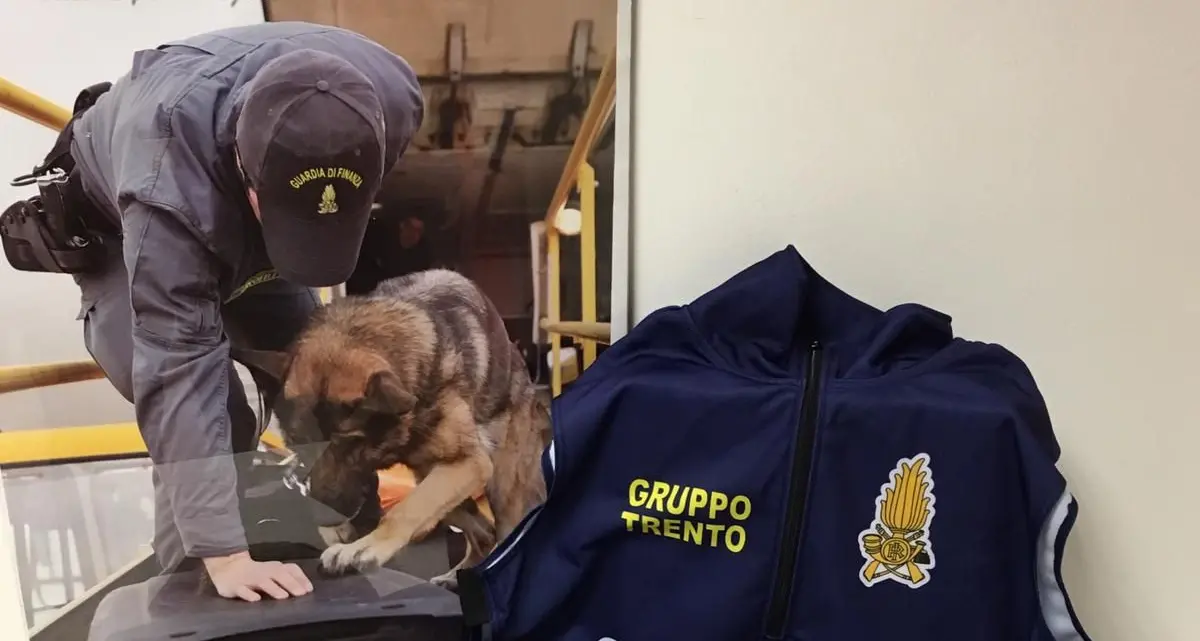Trento, due chili di eroina purissima nascosta nel portabagagli di un'auto e dietro un armadio