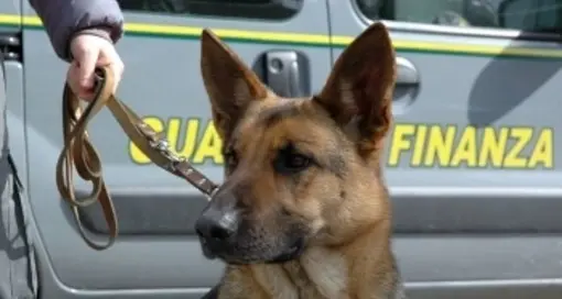 Panetti di eroina nell’auto Due spacciatori arrestati