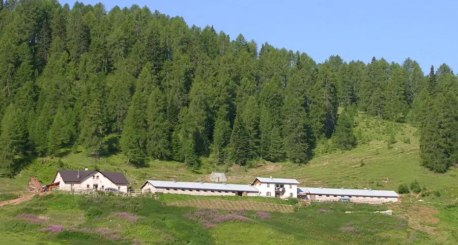Grande caseificio e nuove stalle a Malga Clesera