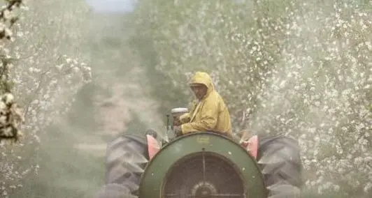 In Trentino usate 2.175 tonnellate di pesticidi all’anno