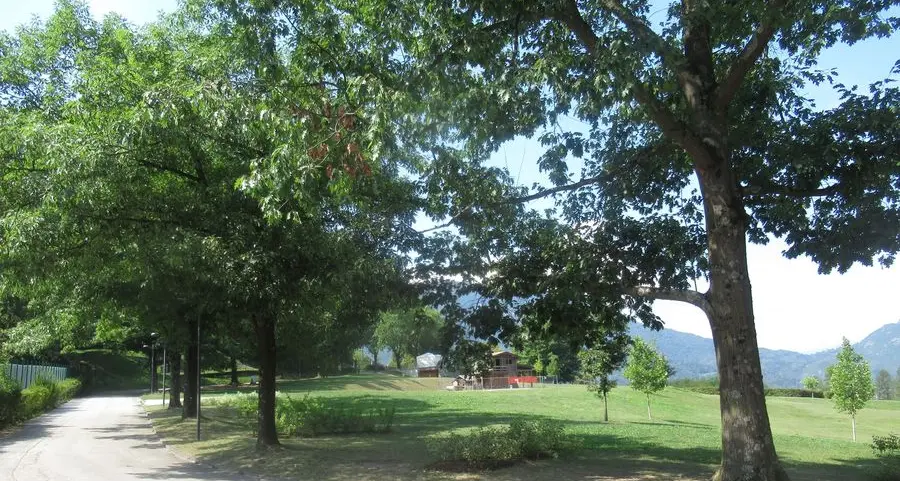 L’estate è da vivere al parco