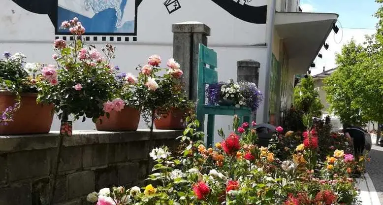 Successo e polemiche per il Festival dei fiori