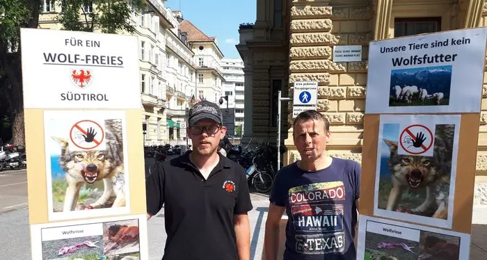 Allevatori in piazza contro il lupo