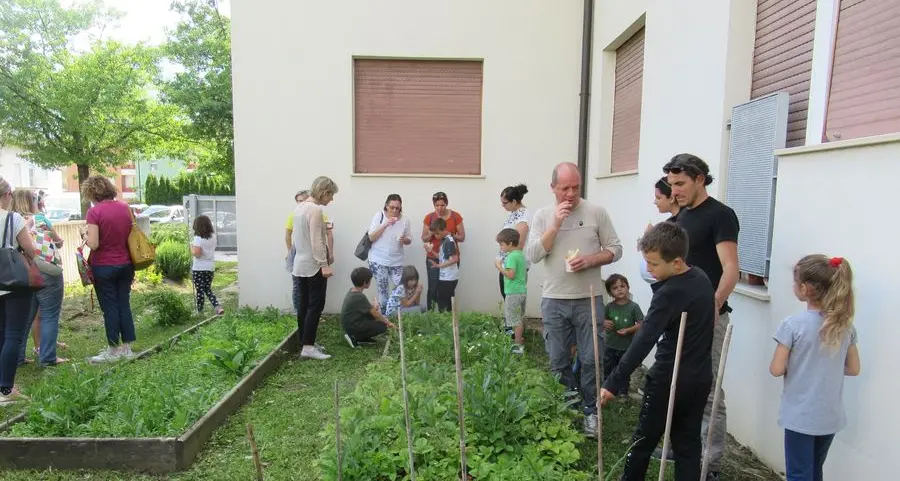 Le verdure sono belle, buone e coltivate nell’orto della scuola