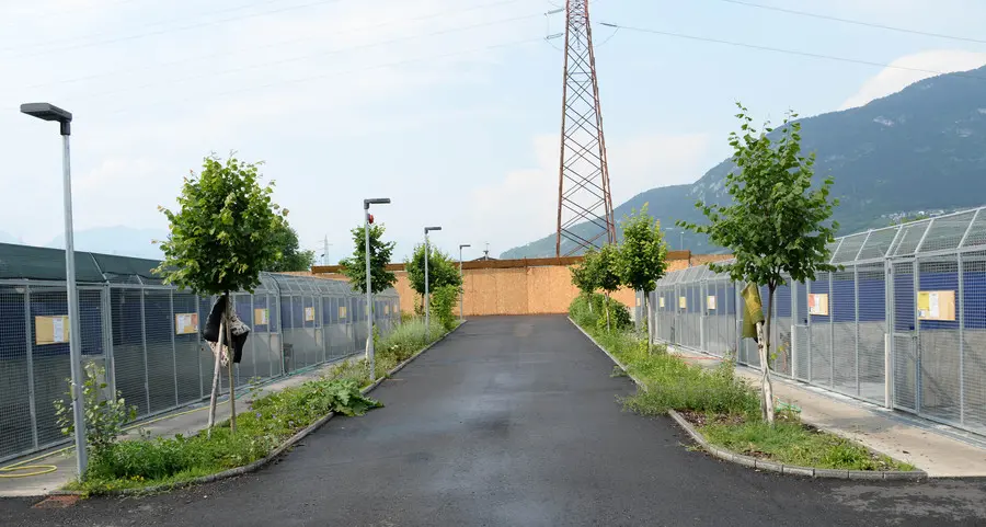 Una nuova casa per Leo e Rocky