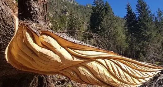 Le sculture di Federico Vanzo abbelliscono “Frata del Sol”
