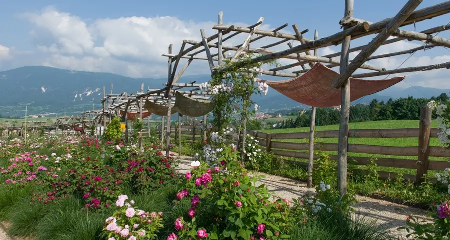 Il “Giardino della Rosa” inserito fra i più belli d’Italia